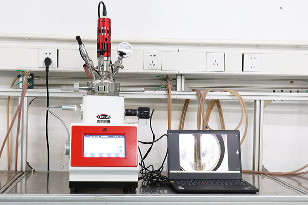 帶側(cè)視窗的實驗室微型高壓反應(yīng)釜